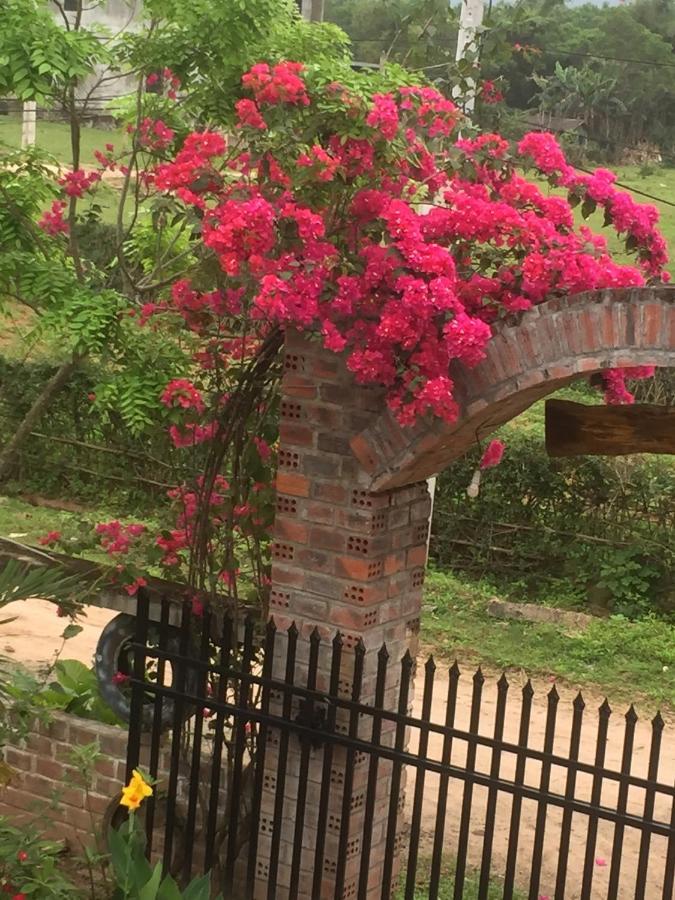Sunshine Homestay Phong Nha Dış mekan fotoğraf