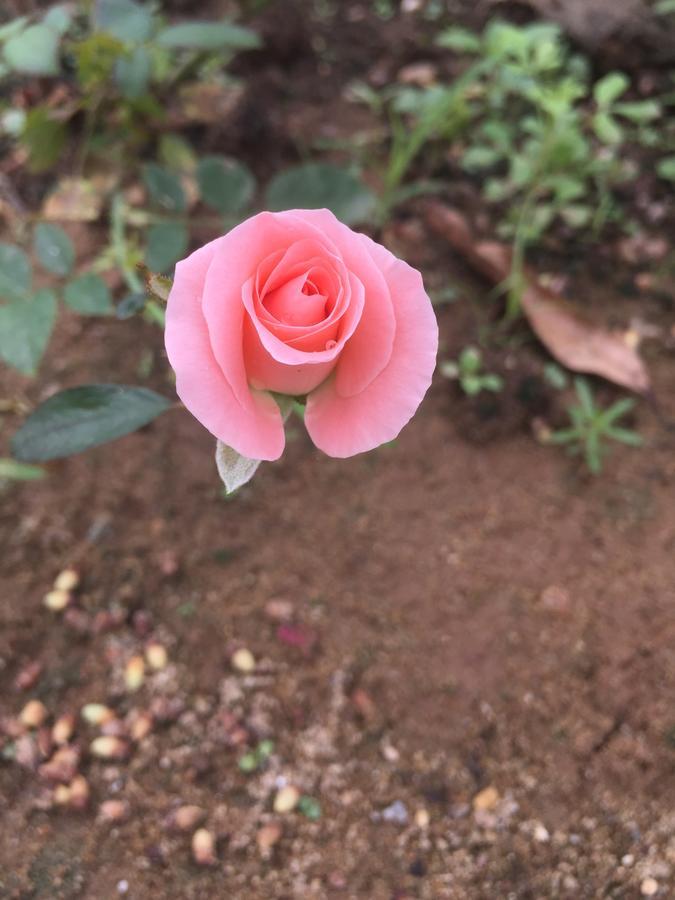 Sunshine Homestay Phong Nha Dış mekan fotoğraf